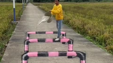 cheat a dog