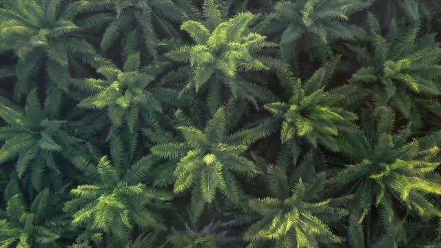 Summer Music Mix by Yme Fresh - Royalty Free Music for Streaming #royaltyfree #music