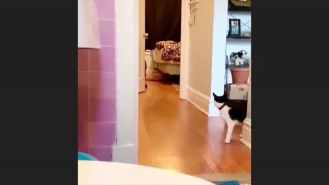 Very cute 🤩