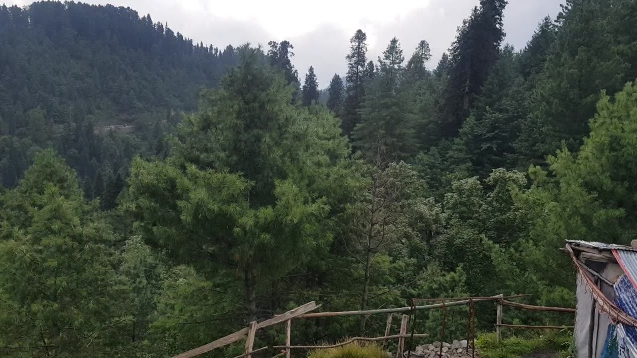 Nice place