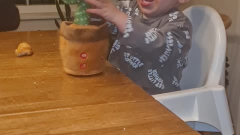 Baby Screams at Dancing Cactus