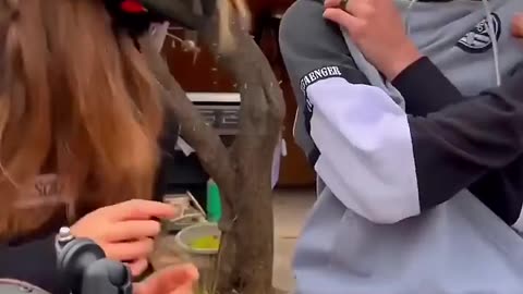 ROMANTIC RIDER with very cute girl