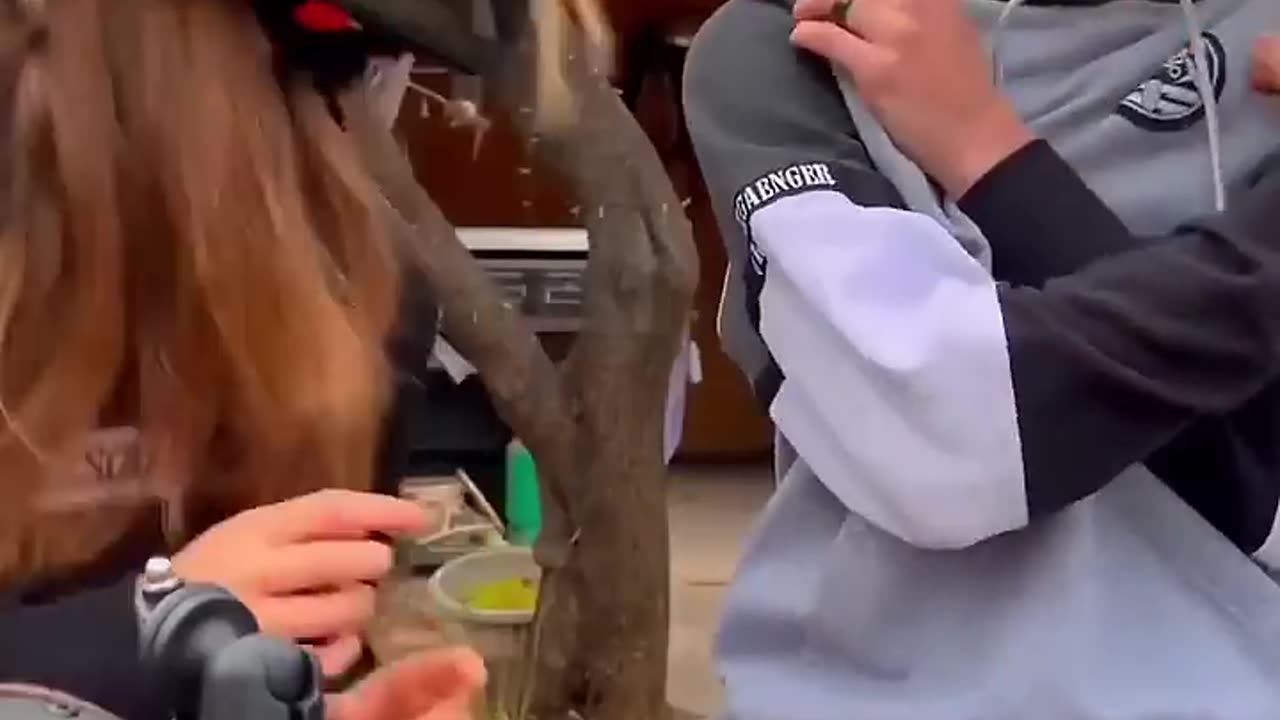 ROMANTIC RIDER with very cute girl