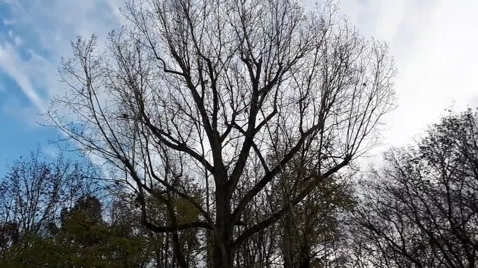 Himmel in Berlin am 7.12.2022 um 14:30 Uhr