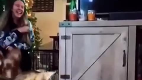 Unbelievable 🤩 Cat 🐈 funny moment