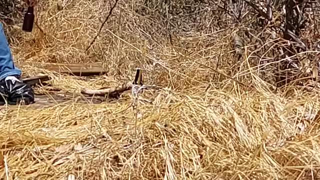 2ipa's sploded in the sun