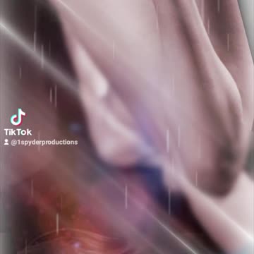 Archives reimagined in InstaMetaBook