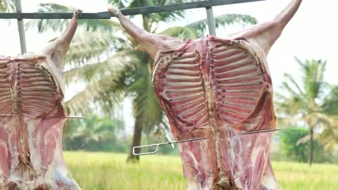 3 FULL GOAT BBQ