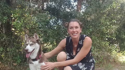 Pet-Friendly Travel: Tips to book a dog friendly hotel reservation