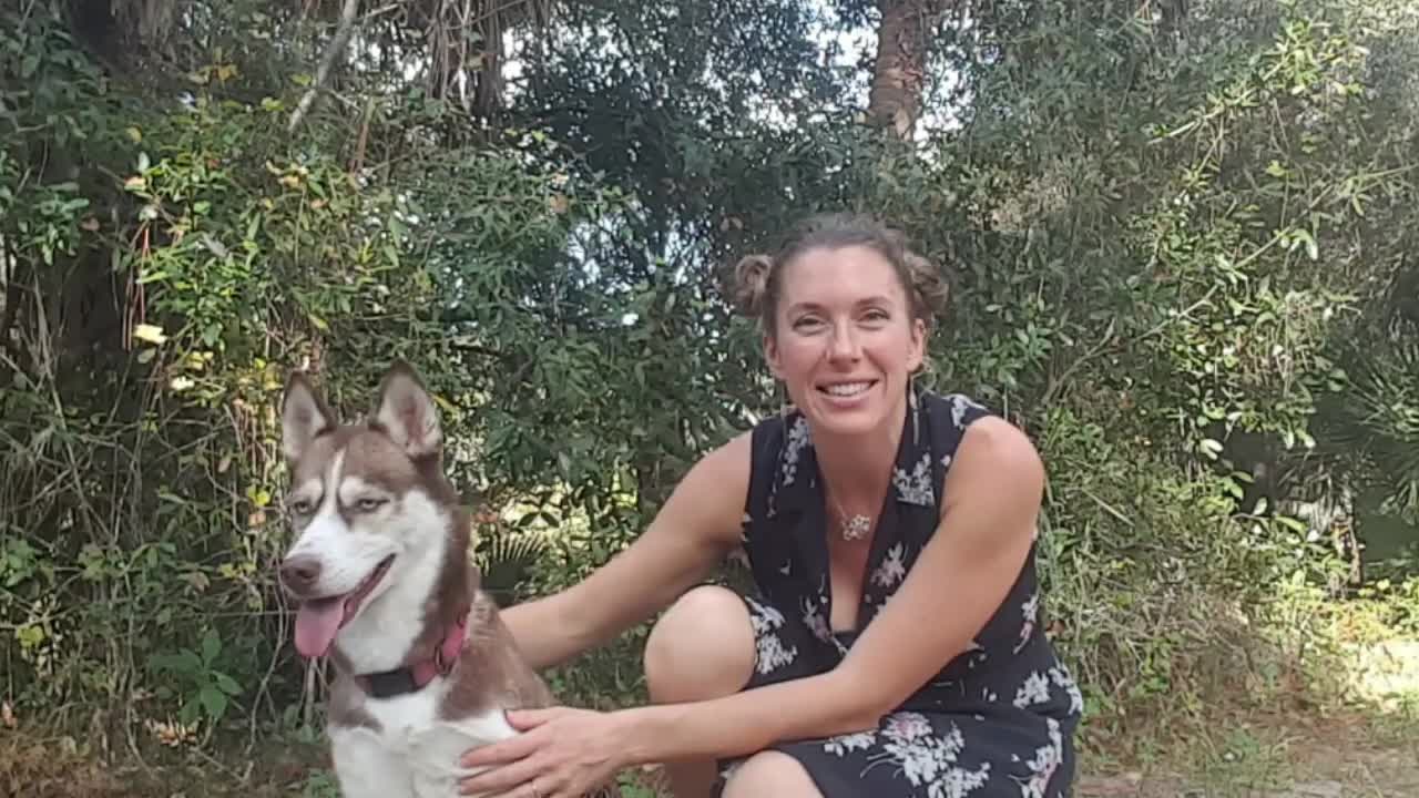 Pet-Friendly Travel: Tips to book a dog friendly hotel reservation