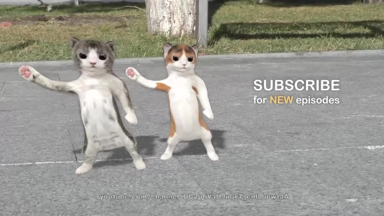 Dancing cats