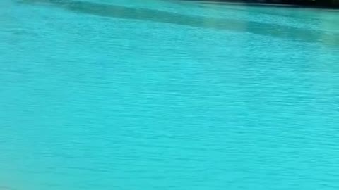Feel the crystal clear waters of Switzerland