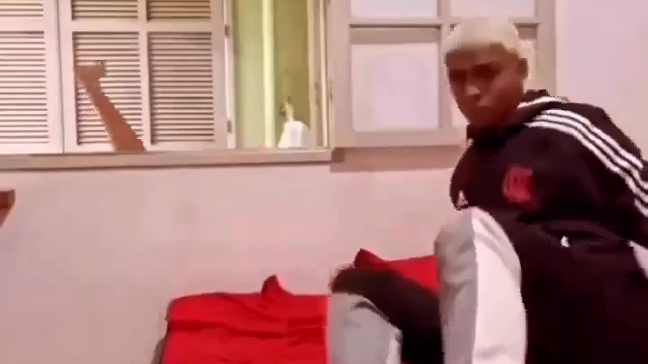 Funny videos