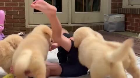 Cute baby laughing on puppy