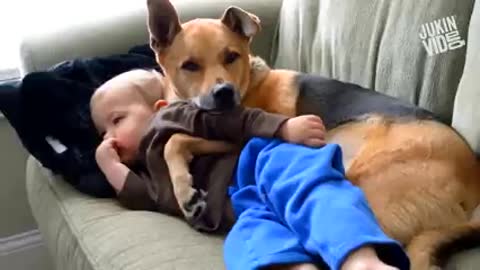 Cute Baby Playing With Dogs