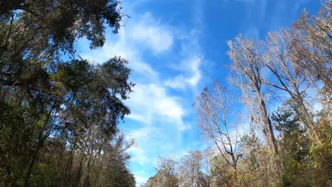 Early Morning Sky