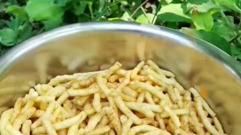 Food Items Funny