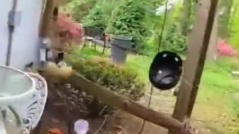 How many hours did this take 😱😱😱 (via Creezy/YT)