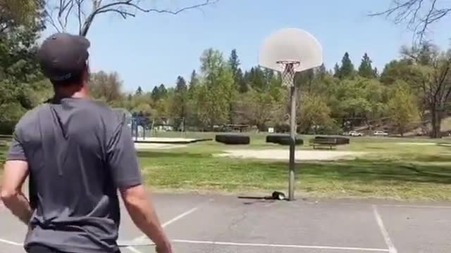 Man Makes Two Half-Court Basketball Shots While Balancing on Balance Board