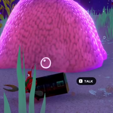 Tell me your secrets Moon Snail Another Crabs Treasure