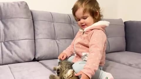 Quite baby meets new baby so video