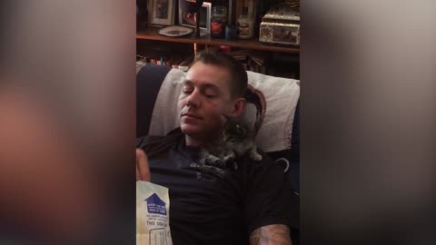 48 Adorable Cat Shenanigans