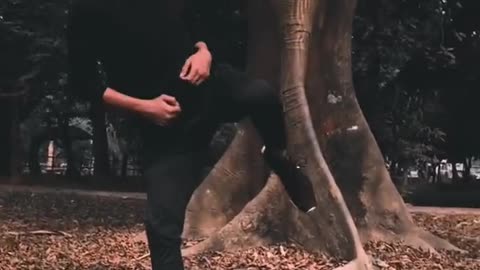 Martial arts moves