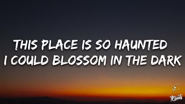 Diana Goldberg - BLOSSOM IN THE DARK