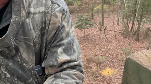 Hunting Corn Pile