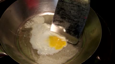 Flock it Farm: Frying up some pigeon eggs