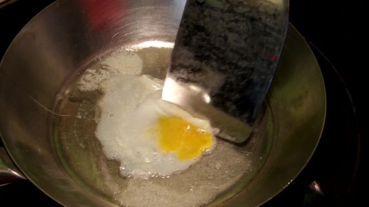 Flock it Farm: Frying up some pigeon eggs
