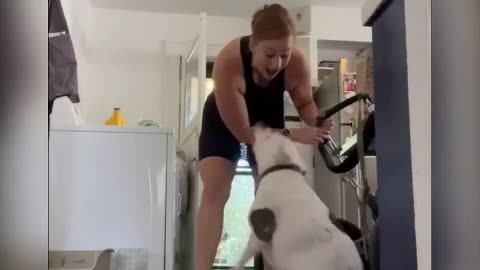 A woman helps a paralyzed dog.