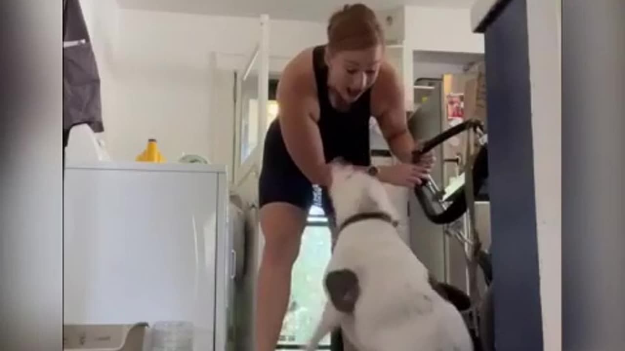 A woman helps a paralyzed dog.