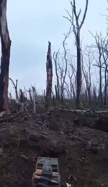 Ukraine Michelin restaurant