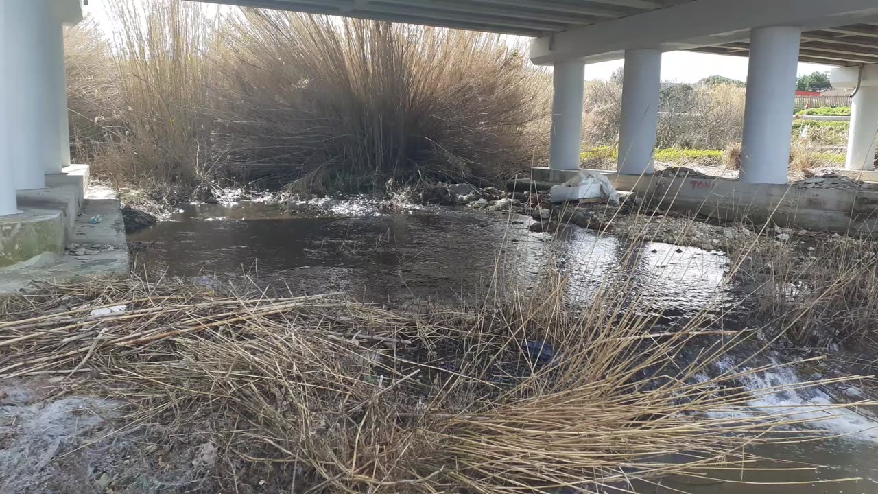 River flowing under the bridge 🌴