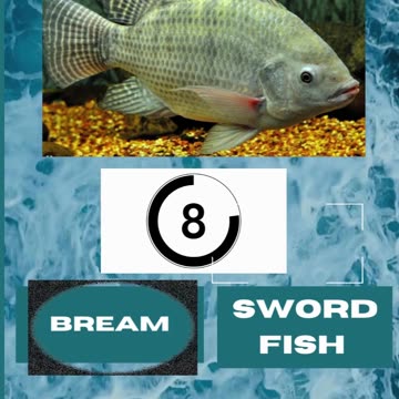 Fish Frenzy 1-6 A fast-paced quiz