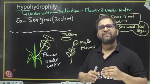 Lec 6 Reproduction in flowering plants Lakshya Neet 2022 NEETJEE - OFFICIAL pw