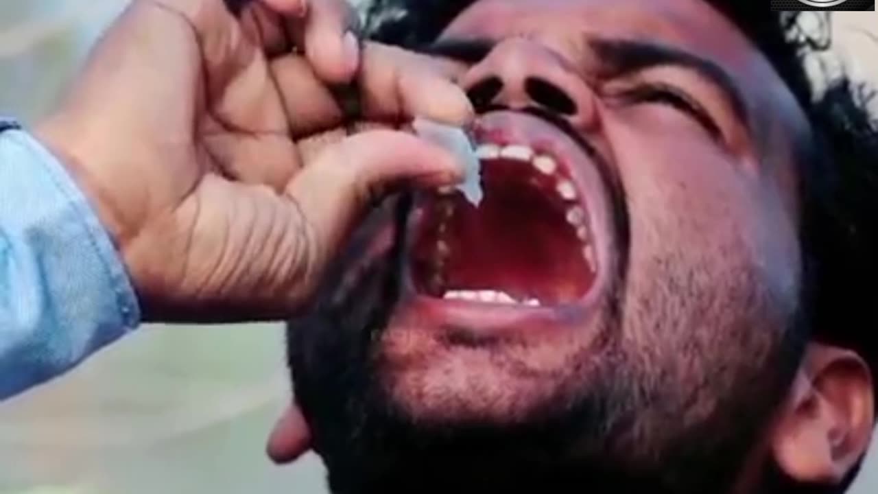 What will happen if someone eats Fevikwik?