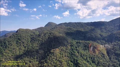 Atlantic Forest views Paraty-Ubatuba Brazil by Antonio Silveira.