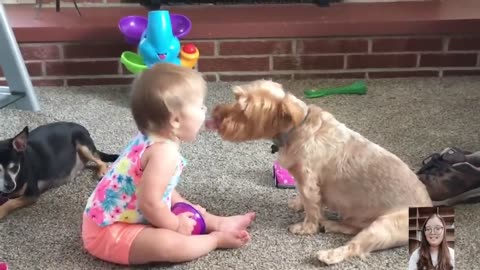 Adorable Babies Playing With Dogs Compilation - Just Laugh