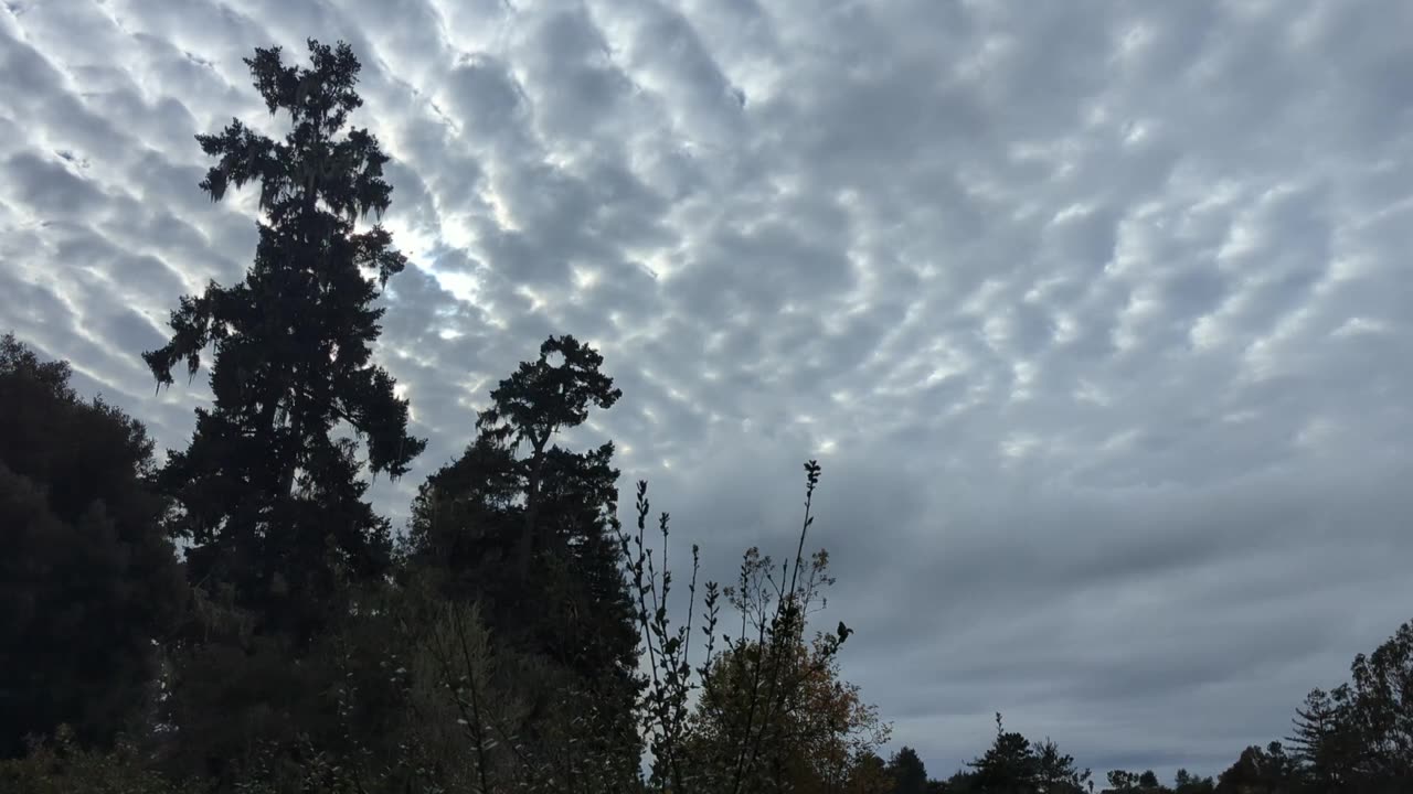 Escape the wind and enjoy the passing clouds.