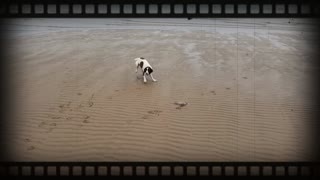 Fun on the beach!!