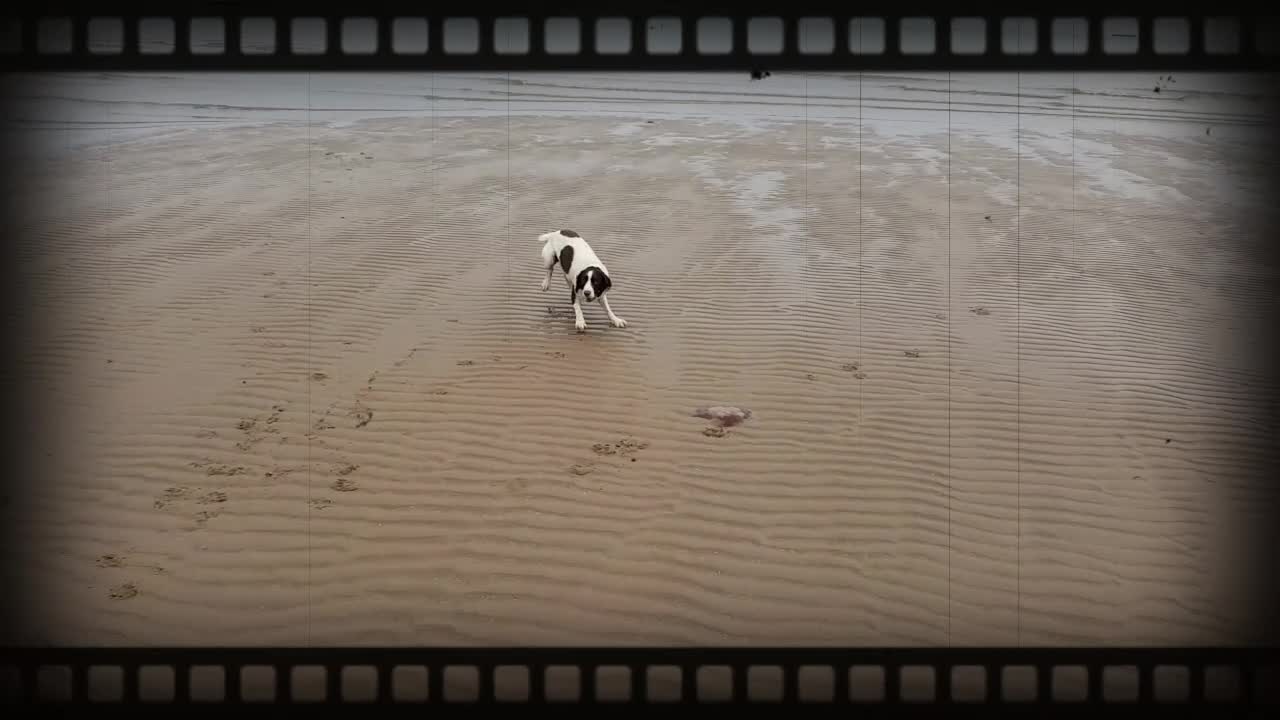 Fun on the beach!!