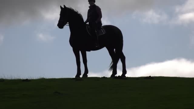 Interesting lighting at Boltby. Apollo is very happy to be at one of his favourite gallops🐴