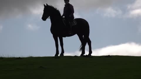 Interesting lighting at Boltby. Apollo is very happy to be at one of his favourite gallops🐴