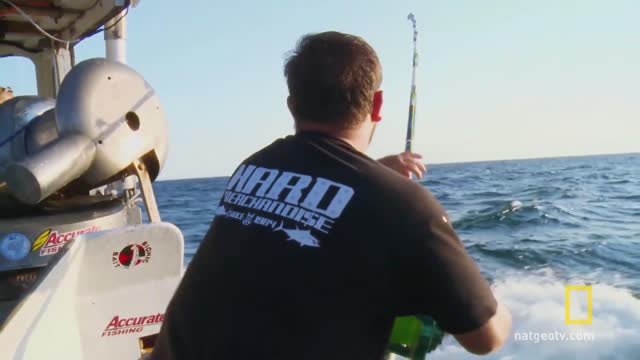 The Hard Merchandise fighting Jaws