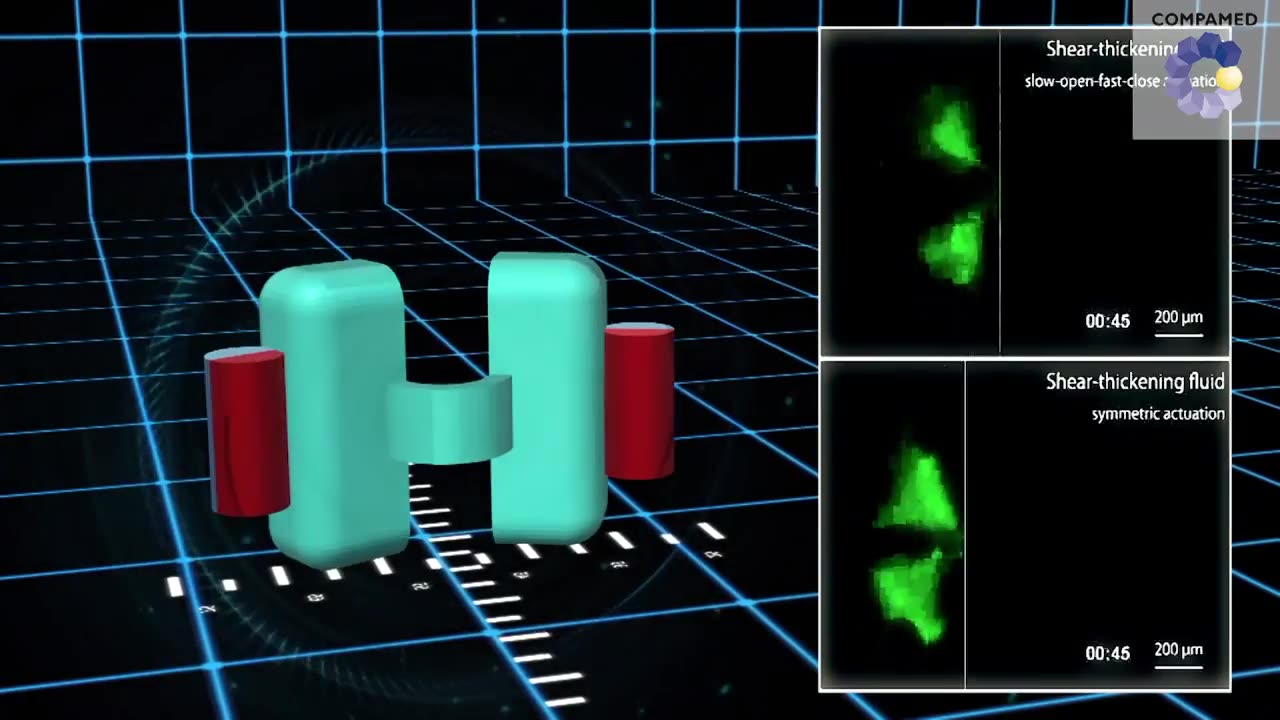 Nanorobots in the Body: The Future of Medicine