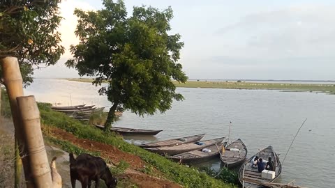 Padma River