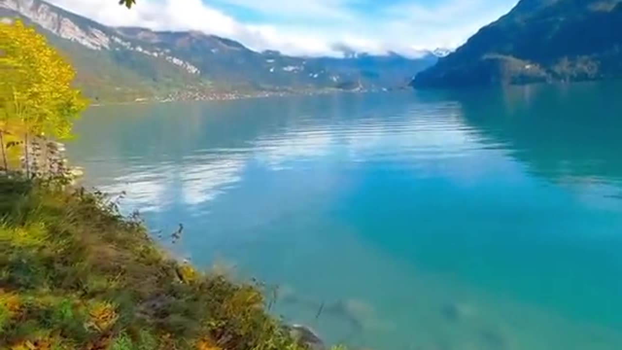 Relaxation video