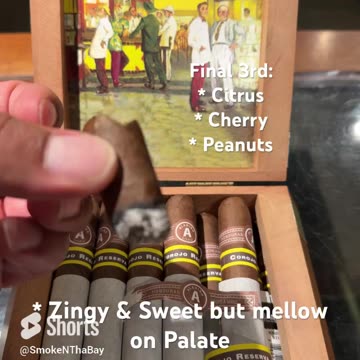 Aladino Cigars Corojo Reserva 5x50 #Shorts #Cigars #Short #Cigar #CigarOfTheDay #StogieOfTheDay